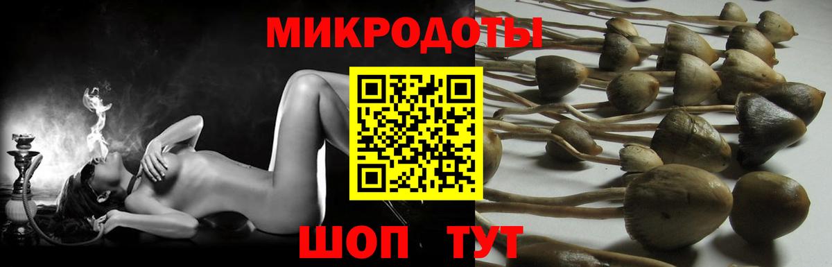 Галлюциногенные грибы GOLDEN TEACHER  Вход с VPN  Алексин 